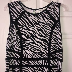 Cato fashions zebra print dress
